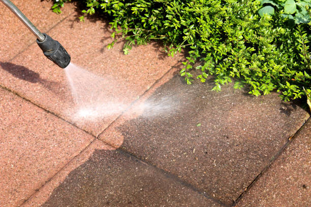 Best Roof Pressure Washing  in De Pere, WI